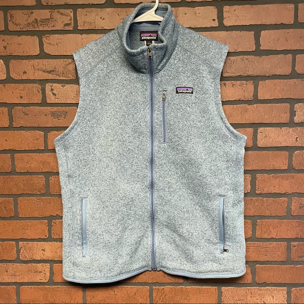 Patagonia Mens Vest